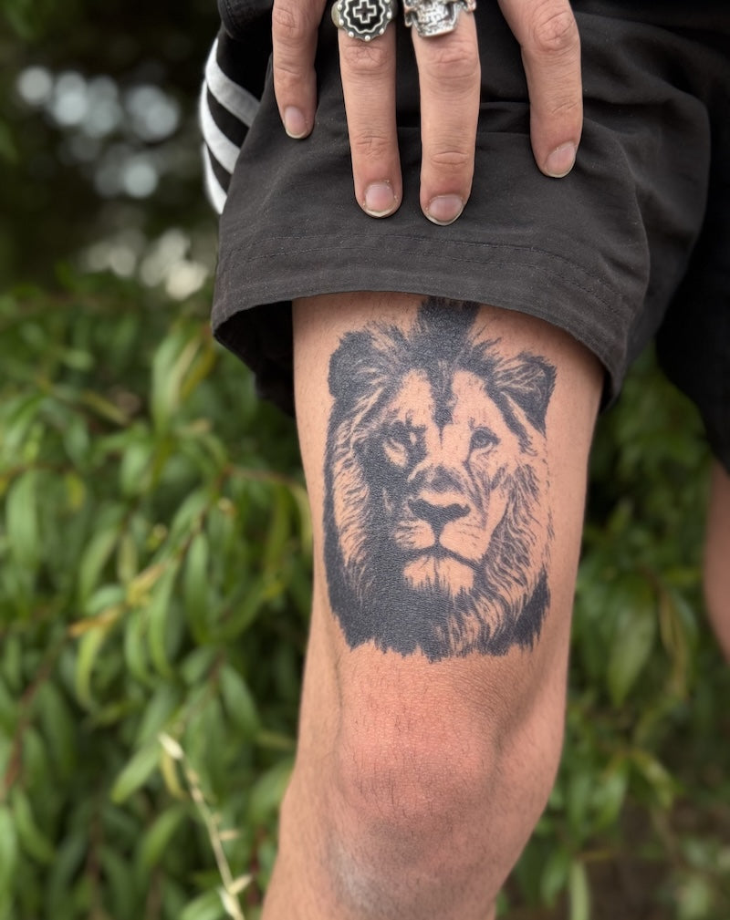 Alpha