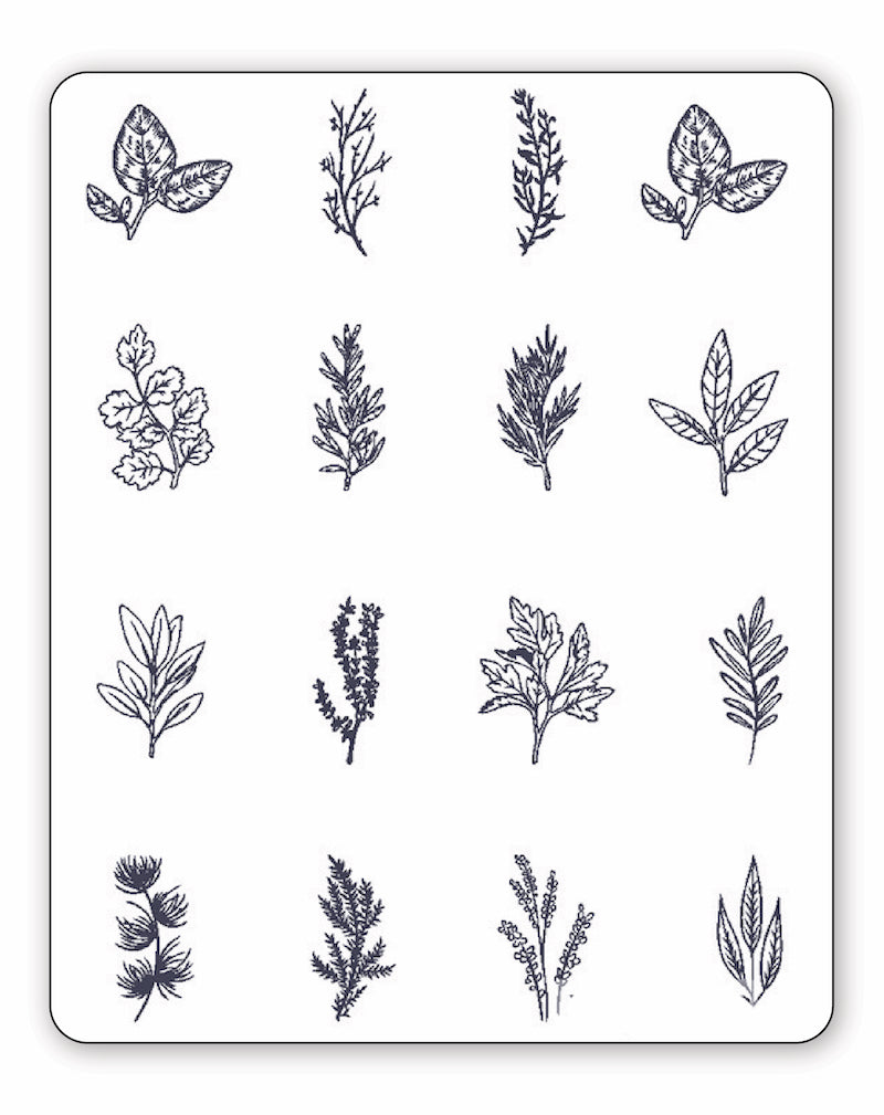 Garden Variety Pack - 16 Tattoos