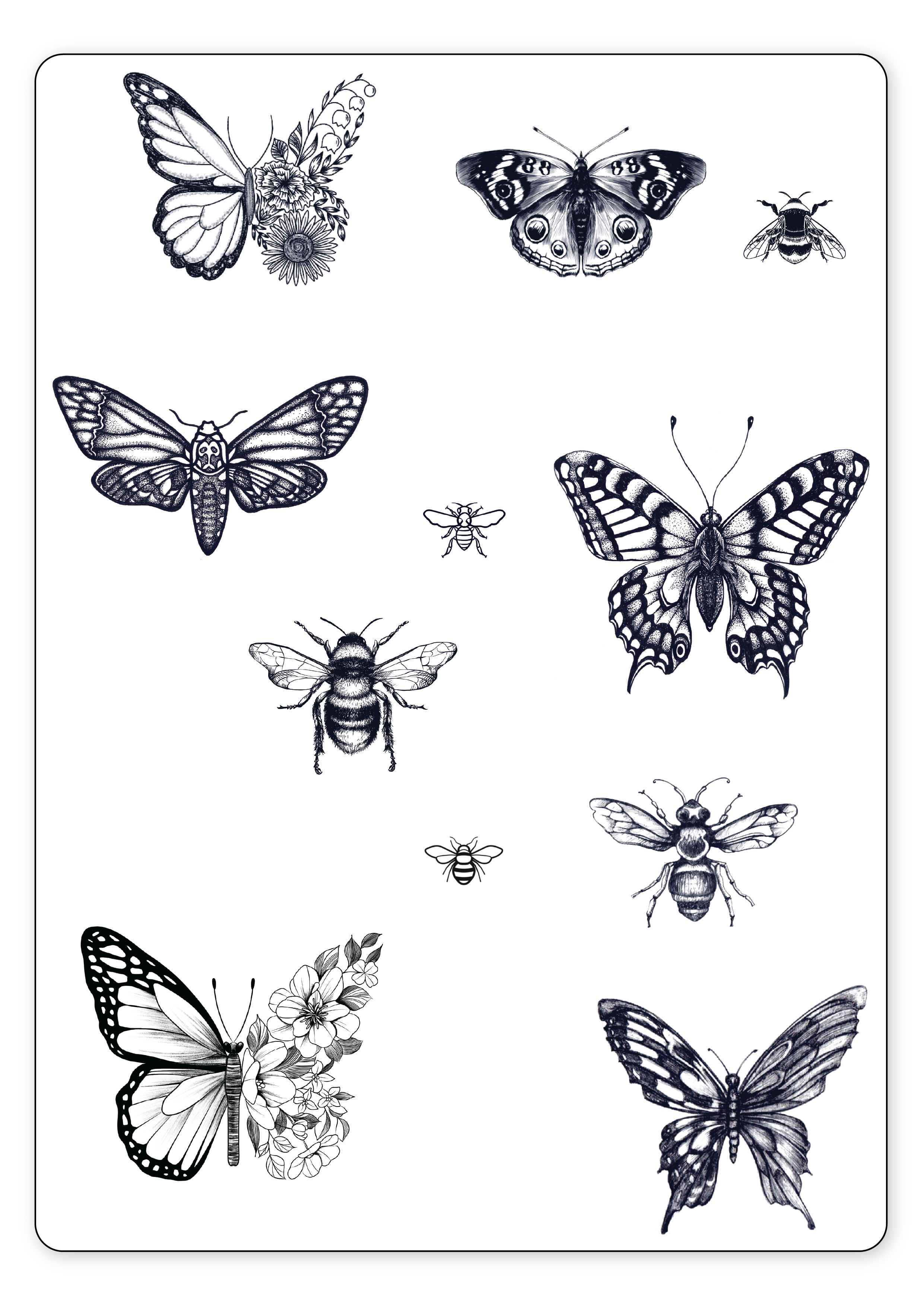 (12 Tattoos) Little Wings - Semi-Permanent Tattoos