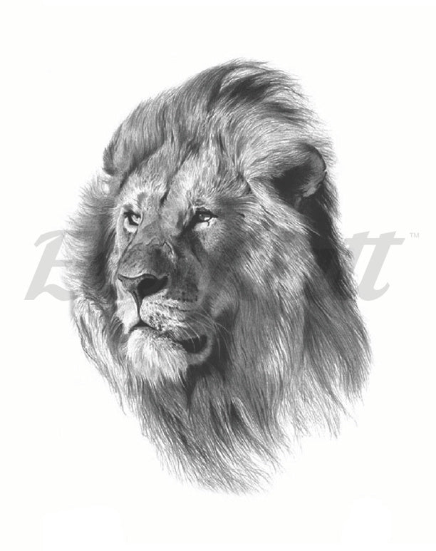 Majestic Lion - Temporary Tattoo