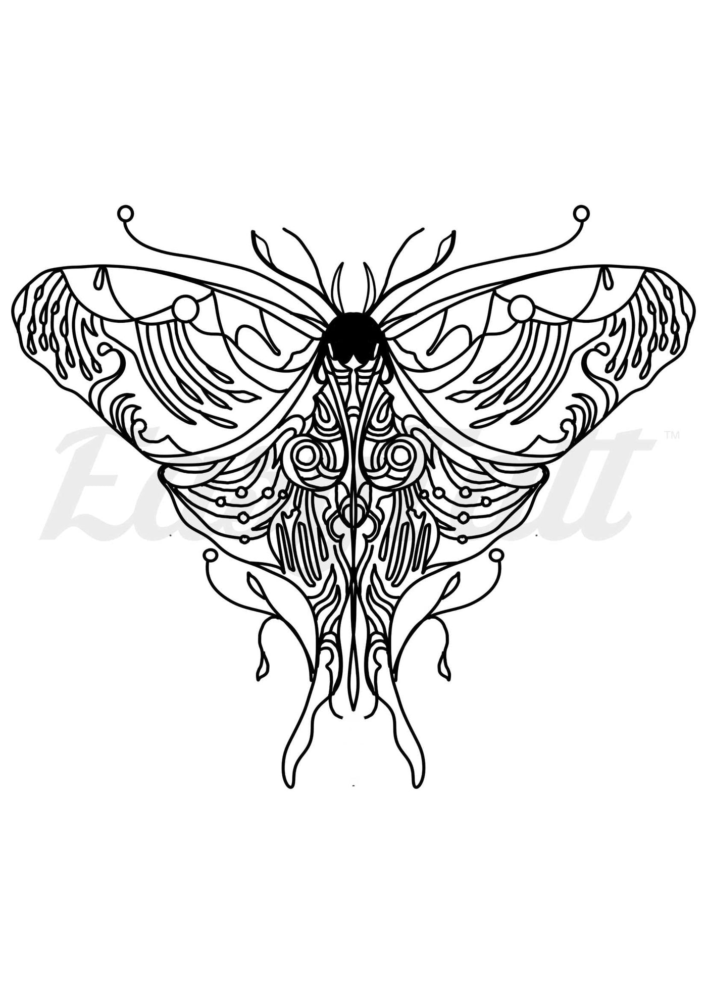 Moth Rise Outline - Temporary Tattoo