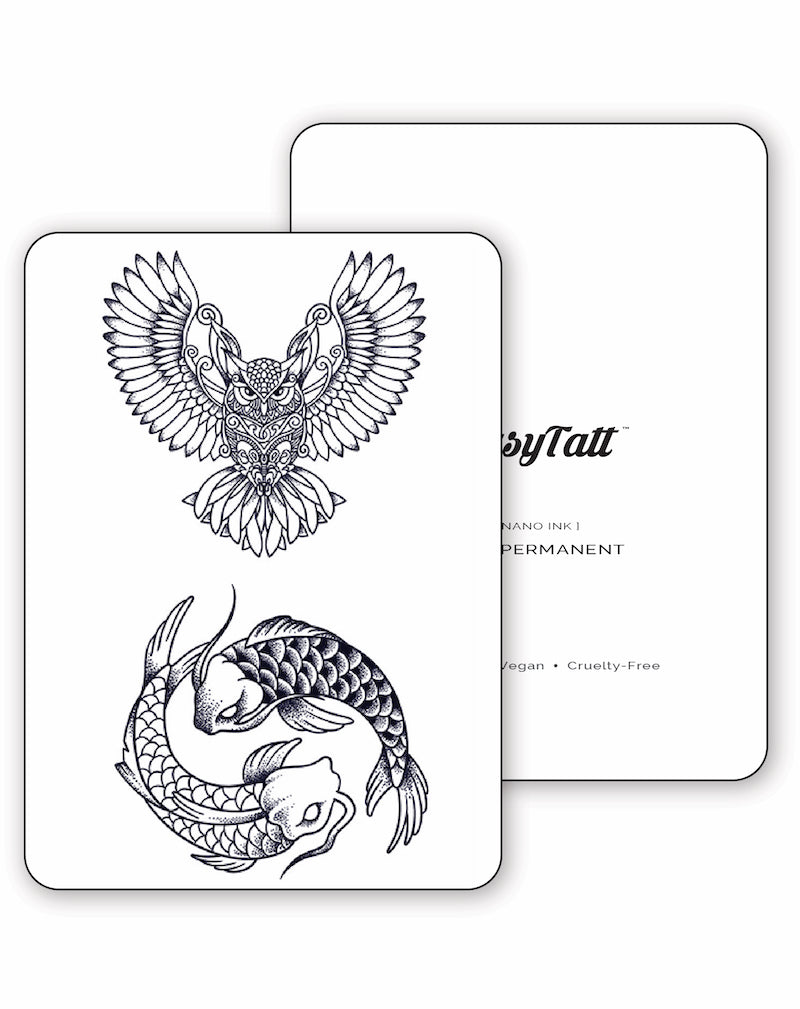Owl and Koi Fish