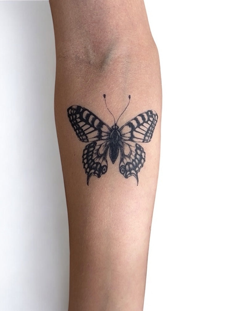 The Butterfly