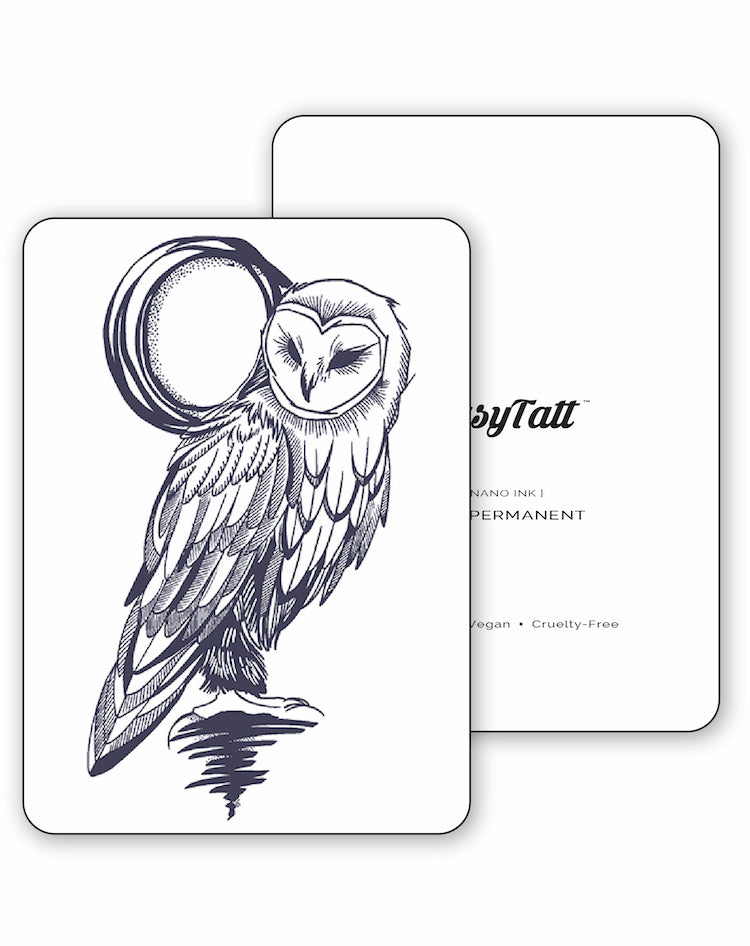 Barn Owl