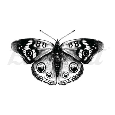 Black Butterfly - Temporary Tattoo