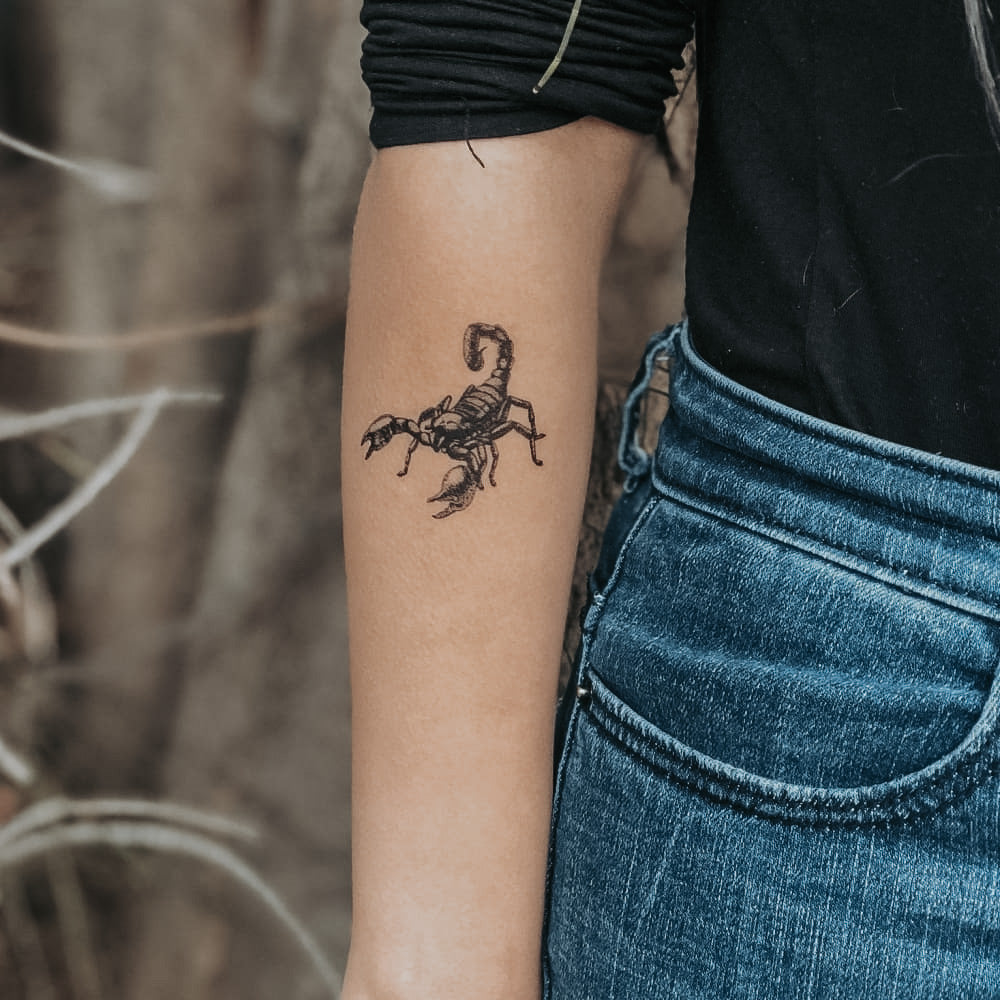 Black Scorpion - Temporary Tattoo