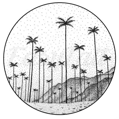 Paradise - Temporary Tattoo