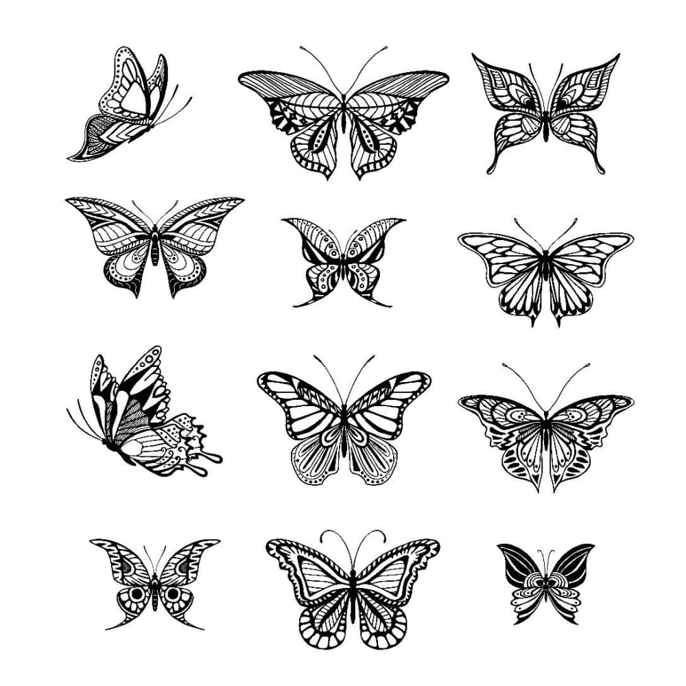 Butterfly Collection - Temporary Tattoo