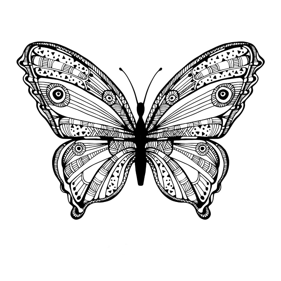 Butterfly - Temporary Tattoo