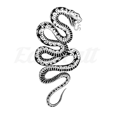 Curled Snake - Temporary Tattoo