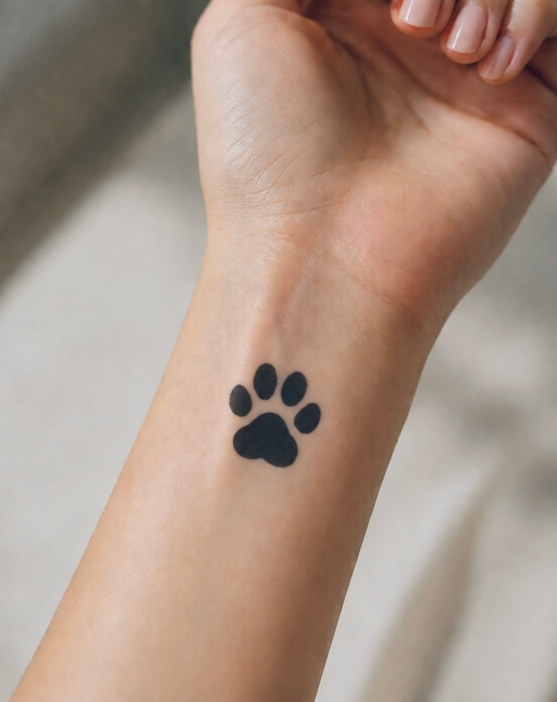 Dog Paw
