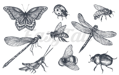 Insects for All - Temporary Tattoos