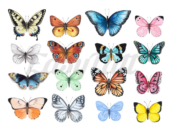 Watercolour Butterflies - Temporary Tattoos