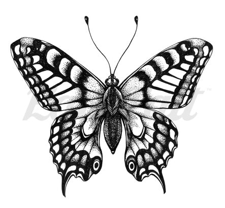 Beautiful Butterfly - Temporary Tattoo