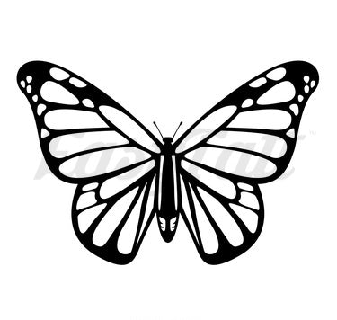 (FREE) Butterfly
