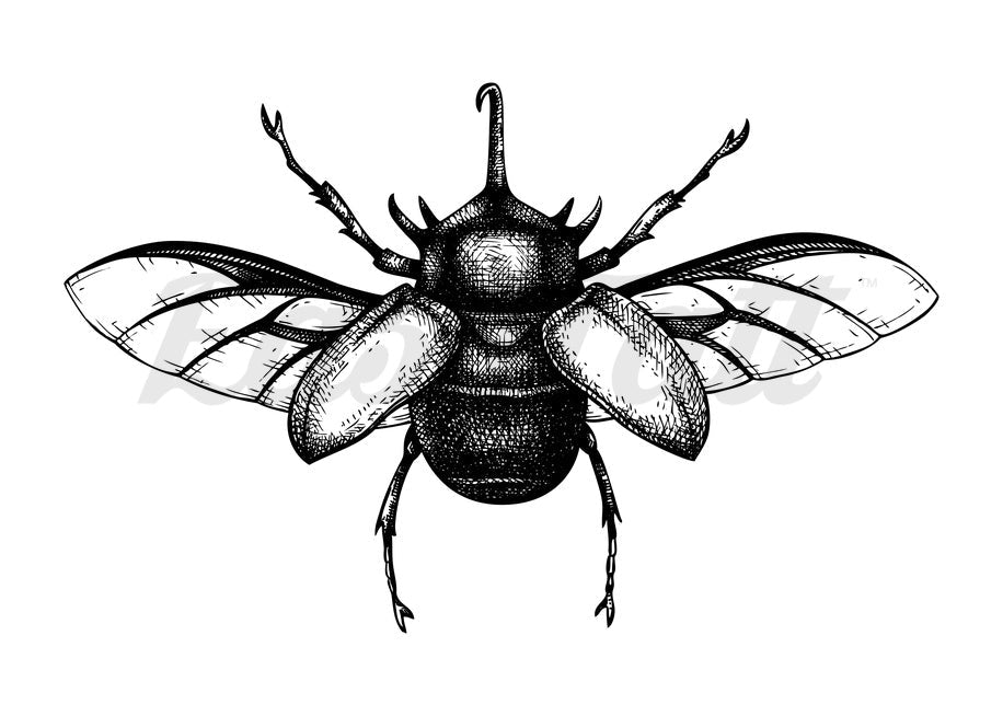 Beetle - Temporary Tattoo