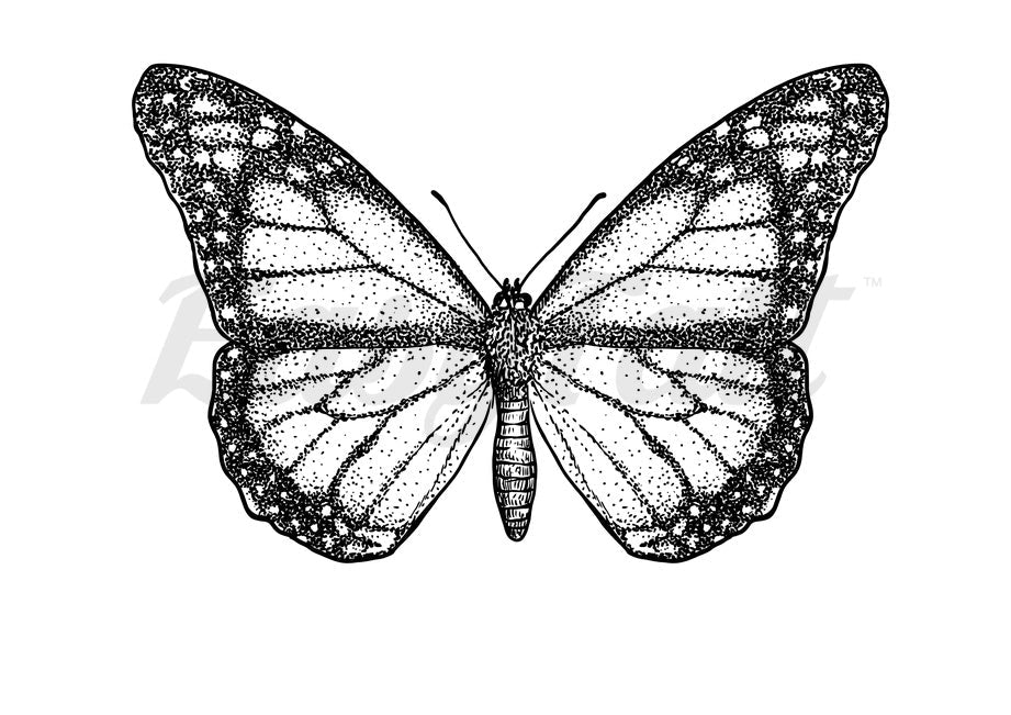 Dot work Butterfly - Temporary Tattoo