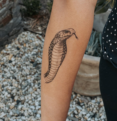 King Cobra - Temporary Tattoo