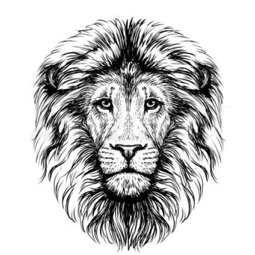 Lion - Temporary Tattoo