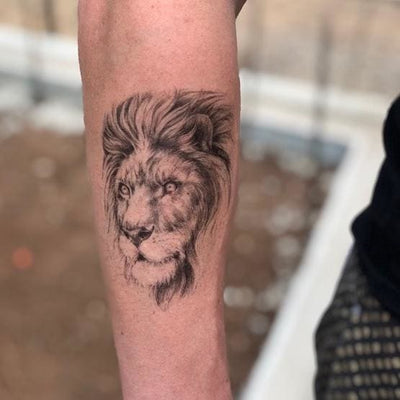 Male Lion - Temporary Tattoo
