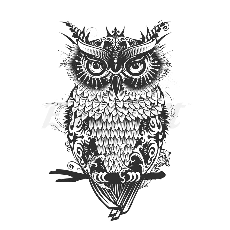 Owl - Temporary Tattoo