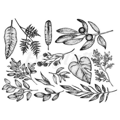 Picks from Nature - Temporary Tattoo