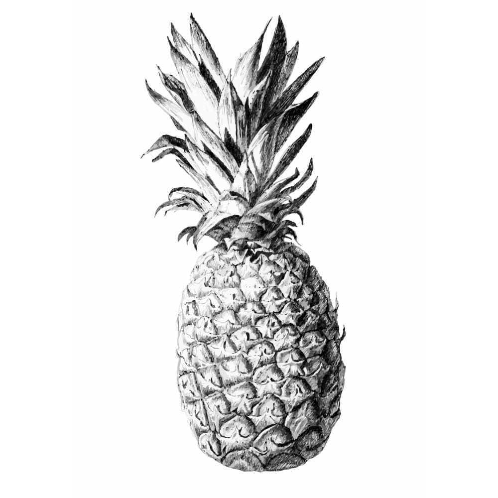 Pineapple - Temporary Tattoo