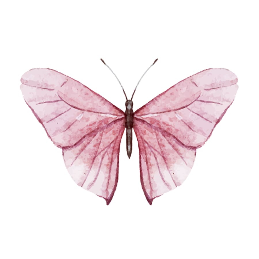 Pink Butterfly - Temporary Tattoo
