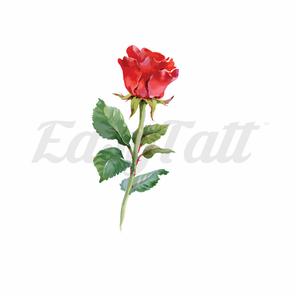Red Rose - Temporary Tattoo