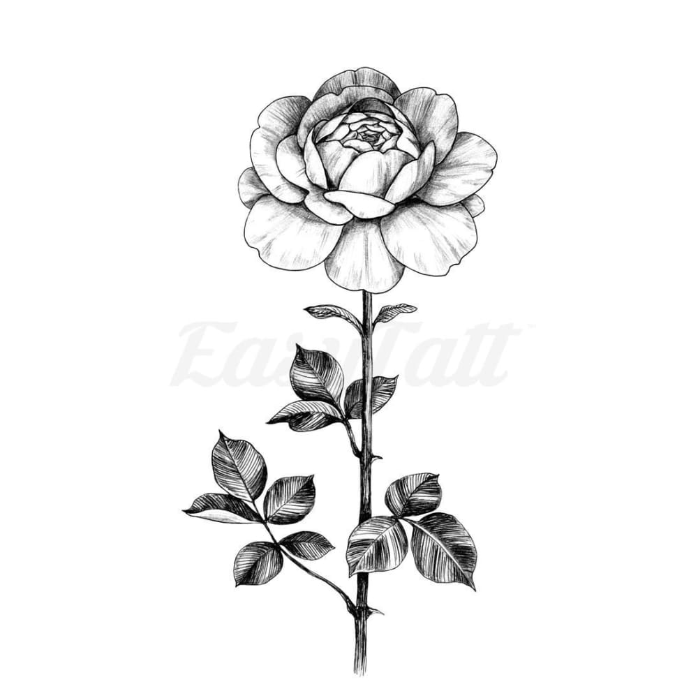 Rose Stem - Temporary Tattoo