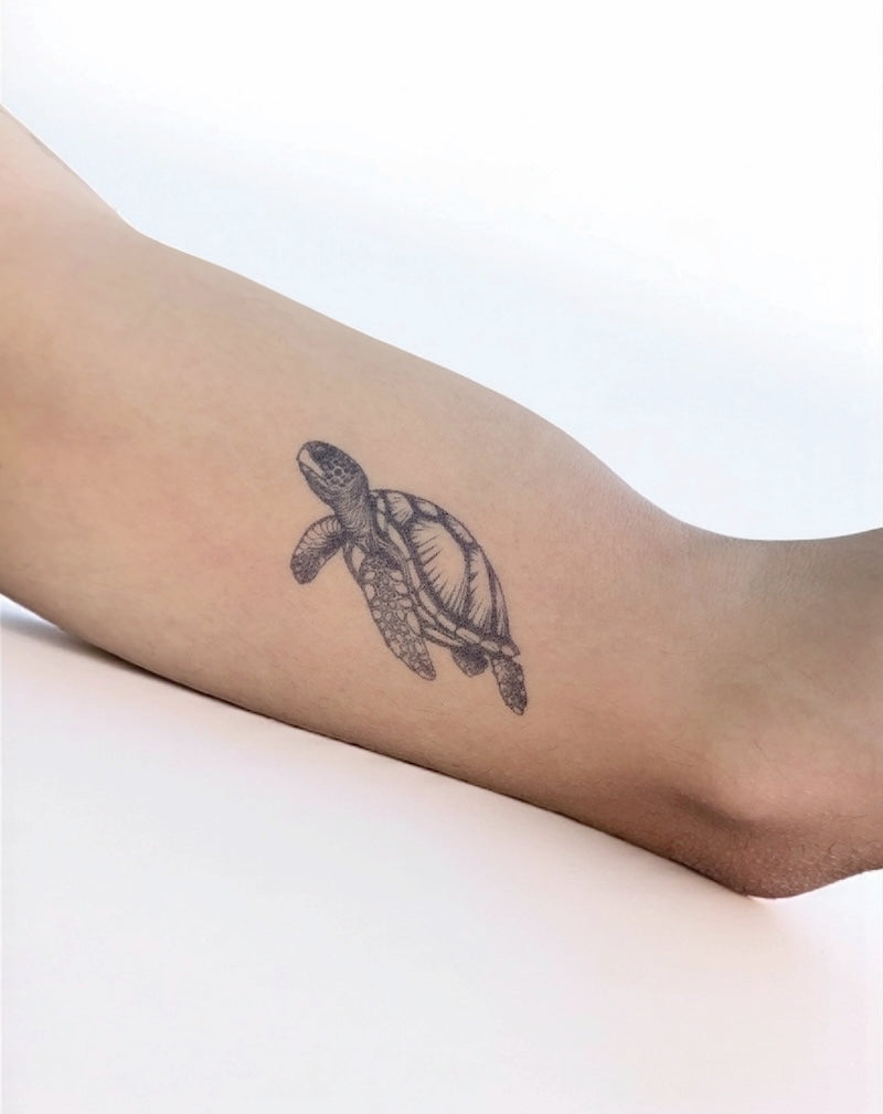 Sea Turtle