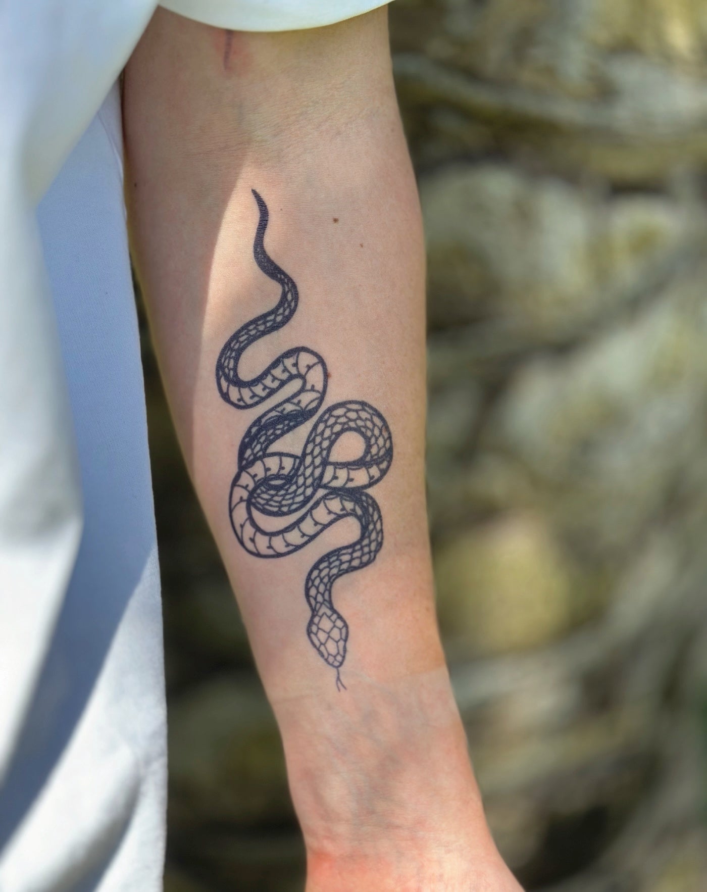 Serpent