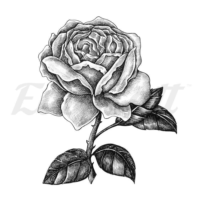 Shaded Rose - Temporary Tattoo