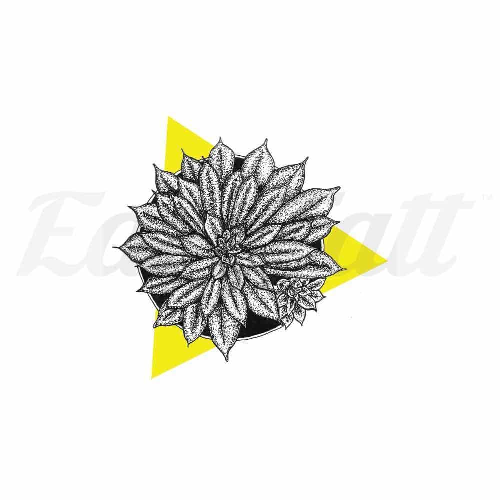 Succulent Triangle - By Jennifer Hayes - Temporary Tattoo