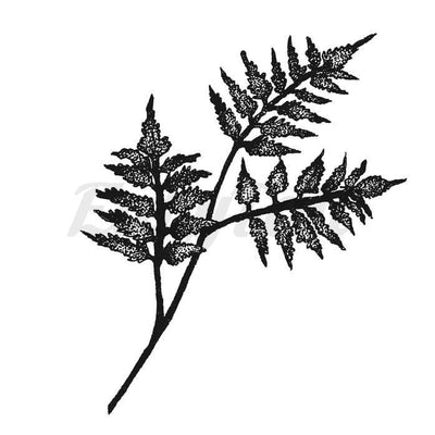 Three Ferns - Temporary Tattoo