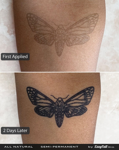 Moth and Leaves - Semi-Permanent Tattoo