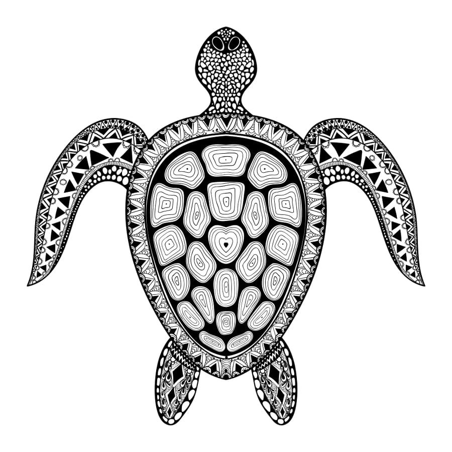 Turtle - Temporary Tattoo