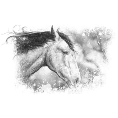 Wild Horse - Temporary Tattoo